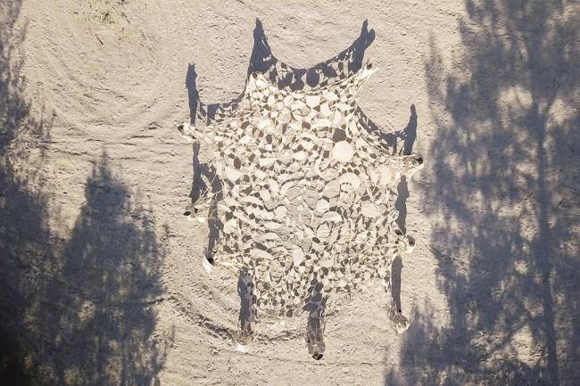 “Faire corps” at Le Forum